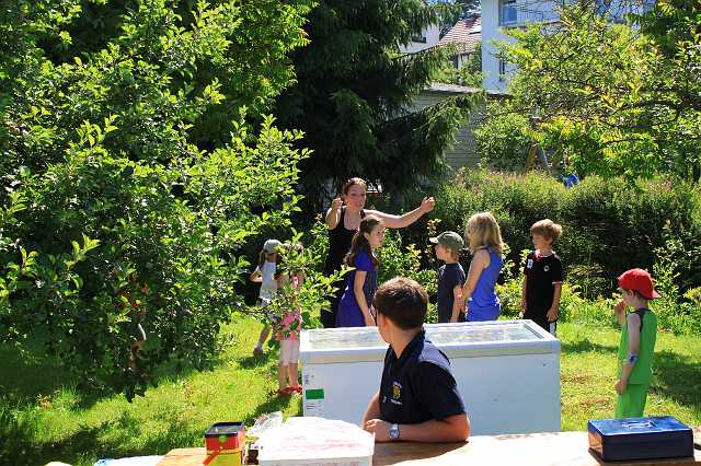 20100627-104930-Canon EOS 500D.jpg